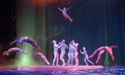 Cirque du Soleil "O"