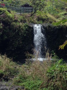 Another waterfall and pool on Maui