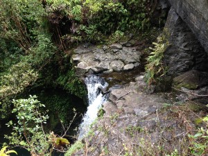 Waterfall and pool in Haleakala National Park, Maui