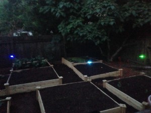 Solar Lights In The Garden