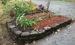 All planted and partially mulched