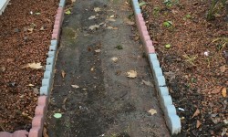Second side begun and Elephant Ear plants removed for winter.