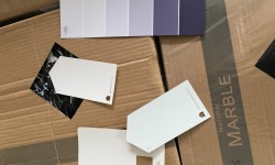 Tile and Paint Chips