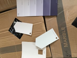 Tile and Paint Chips